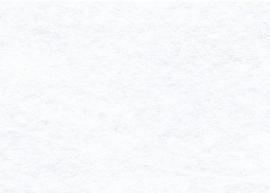 Felt viscose mous gray (10 Sh) 20x30cm - 1mm - #493108